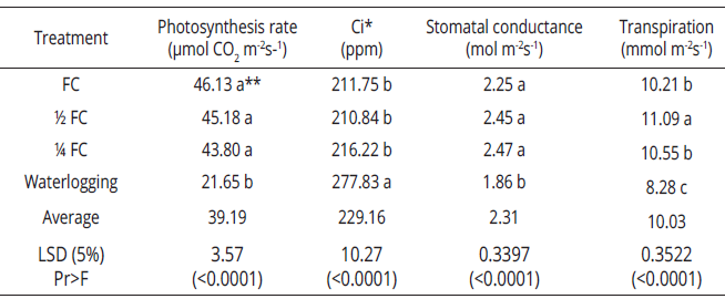 Photosynthetic response of E. grandis to soil water availability in Restrepo, Valle del Cauca, Colombia (average temperature of 18 &deg;C). Highly significant statistical differences were observed. Data correspond to the average of all genotypes per treatment.