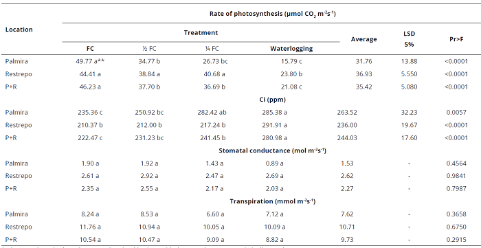 Effect of water stress on gas exchange in E. grandis genotype 24A-5 in Palmira, Restrepo, and Palmira-Restrepo (P+R), Valle del Cauca, Colombia.