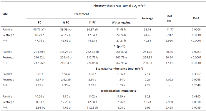 Effect of water stress on gas exchange in Eucalyptus grandis genotype 28-3 in Palmira, Restrepo, and Palmira-Restrepo (P+R), Valle del Cauca, Colombia.