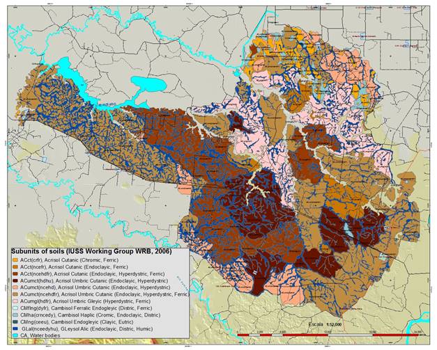 Soil subunits of the cultivated area with pineapple crop in Huimanguillo, Tabasco-Mexico.