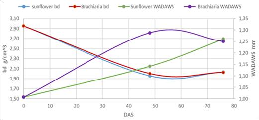 Change in physical variables (Bd = bulk density, WADAWS = weighted average diameter after wet screening) evaluated in the substrate with sunflower (Helianthus annuus L.) and the substrate with Brachiaria grass (Brachiaria decumbens). DAS: days after sowing.
