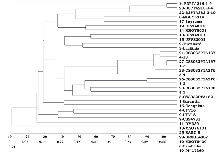 Clustering by UPGMA method from genetic distances estimated based on the complement of the weighted similarity index by analysis of molecular markers of QTL regions for protein content in soybean.