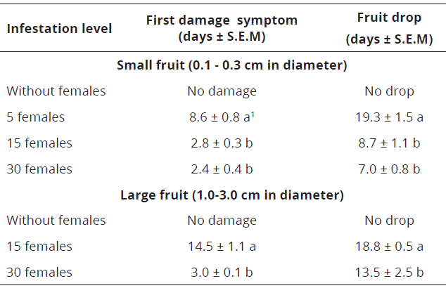 Days of appearance of first damage symptoms and drop of Valencia orange fruits affected by two infestation levels of P. latus females under screenhouse conditions (25oC and 70% R.H) in Palmira-Valle del Cauca, Colombia.