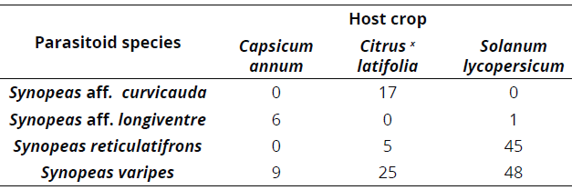 Number of parasitoids recovered from Prodiplosis spp. larvae collected in bell pepper, Tahiti lime and tomato crops.