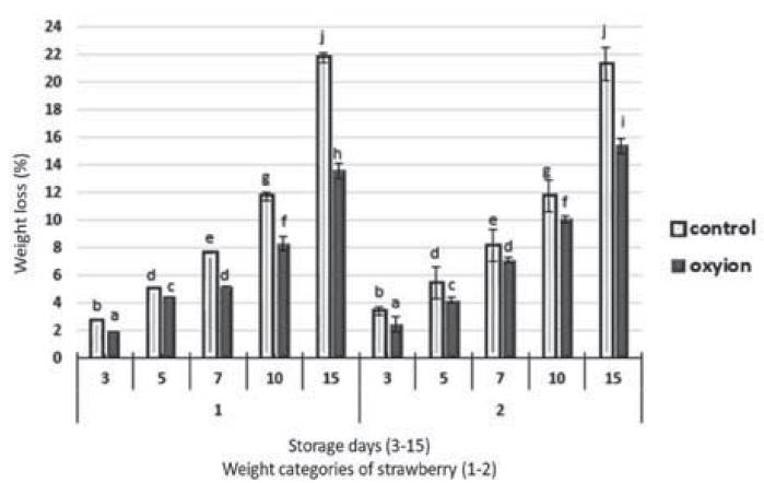 Percentage of weight loss compared to strawberry weight categories subjected to two types of storage. Equal letters indicate that there are no statistically significant differences.