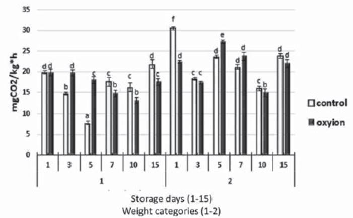 Respiratory intensity behavior, compared to strawberry weight categories subjected to two types of storage. Equal letters indicate thatthere are no statisticallysignificant differences.