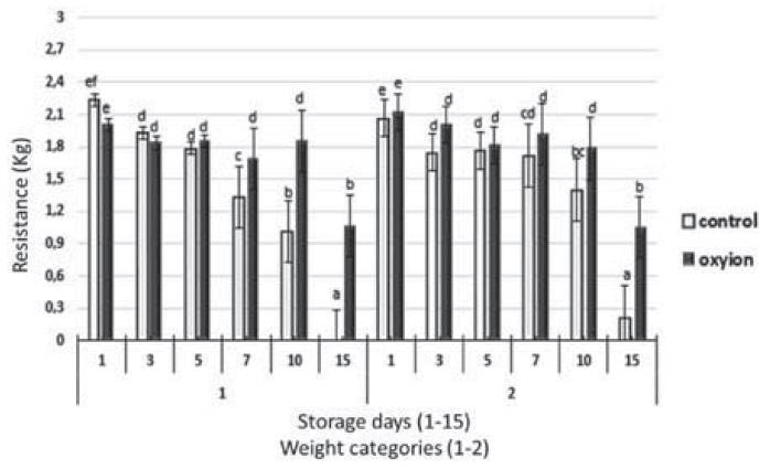 Effect of the treatments on fruit firmness, compared to strawberry weight categories subjected to two types of storage. Equal letters indicate that there are no statistically significant differences.