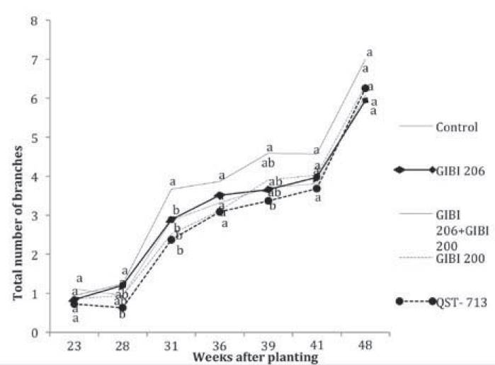 Total number of blackberry branches under the influence of PGPR over time. Averages with the same letter are not statistically different according to Duncan test at 5%. Number of cases, N=200