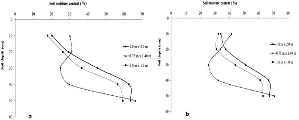 Volumetric soil moisture mean values and confidence intervals of three soil profiles from corresponding coffee planting densities featured by contrasting distances between plants and rows, respectively, as follows: 1.0 m x 2.0 m [planting density A]; 0.75 m x 1.40 m [planting density B]; and 1.0 m x 1.0 m [planting density C]. The data were obtained during the dry (a: July-August-September) and humid (b: October-November) periods. (Experiment conducted at Naranjal Experimental Station, Chinchiná, Caldas- Colombia).