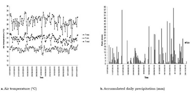 Climatic conditions between July 13 and November 30 of 2015. a. Air temperature (°C). b. Accumulated daily precipitation (mm). Naranjal Experimental Station (Chinchiná, Caldas-Colombia).