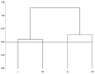 Dendrogram obtained from the sensory analysis of irradiated, pasteurized and control juçara pulp sensory attributes, by the Average Linkage method. I = Control/day 1, II = 2.5 kGy/day 1, III = Pasteurized/day 1, IV = Pasteurized/day 15.