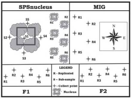 Schematic diagram of the soil sampling, with emphasis on the arrangement of collection points. 