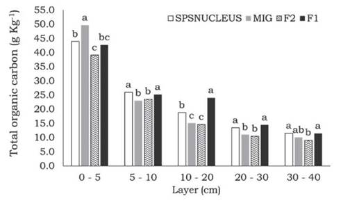 Total organic carbon contents in soils of different pasture management systems in Santa Rosa de Lima SC, Brazil. Means followed by the same letter in the bars are similar by the Tukey’s test at 5% significance. SPSNUCLEUS = High Biodiversity Silvopastoral System, MIG = Management Intensive Grazing without trees, F1 = Primary forest, F2 = Secondary forest.