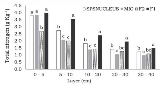 Total nitrogen contents in soils of different pasture management systems in Santa Rosa de Lima SC, Brazil. Means followed by the same letter in the bars are similar by the Tukey’s test at 5% significance. SPSNUCLEUS = High Biodiversity Silvopastoral System, MIG = Management Intensive Grazing without trees, F1 = Primary forest, F2 = Secondary forest.