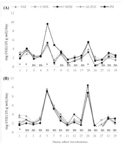 Daily evolution of C-CO2 in samples of biogenic and physiogenic aggregates collected in agroecological management systems at depths of 0-0.05 m, incubated for 35 days. Seropédica, Brazil. A) Biogenic aggregates, (B) physiogenic aggregates. AFS: agroforestry system, C-SUN: coffee grown in full sun, C-SHA: coffee grown in the shade, AL-FLE: cultivation in alleys, NT: no-till planting system.