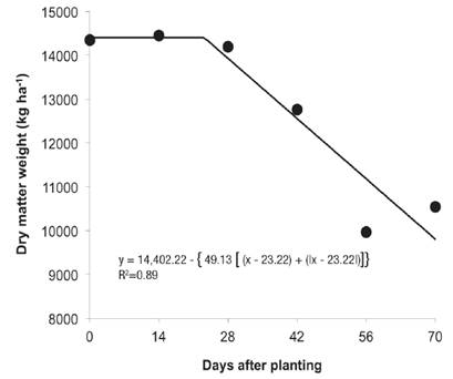 Dry matter weight of elephant grass plants as a function of different periods of coexistence with weeds in Valenga, RJ, in 2014.