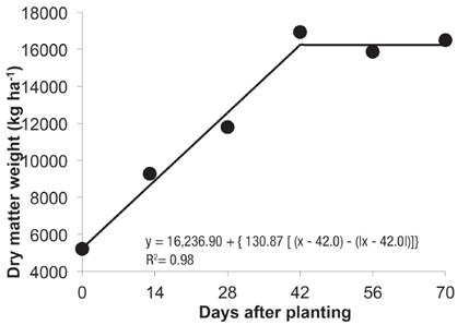 Dry matter weight of elephant grass plants as a function of different periods of weed control in Valenga, RJ, in 2014.