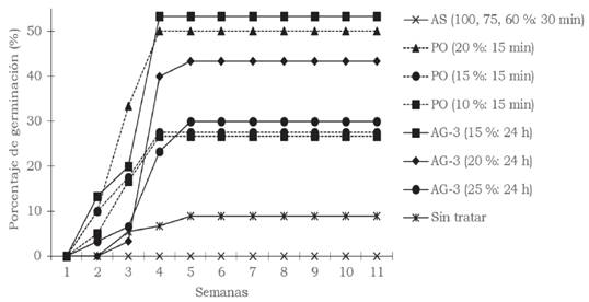 Porcentaje de germinación en semillas de chile manzano después de la imbibición en presencia de diferentes tratamientos pregerminativos. H2SO4 = ácido sulfúrico (AS); H2O2 = peróxido de hidrógeno (PO); C19H22O6 = ácido giberélico-3 (AG).