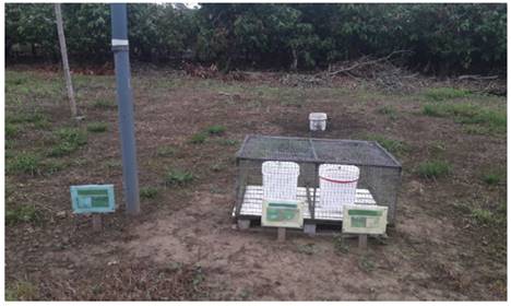 Equipo instalado considerando la distancia del cultivo a barlovento.