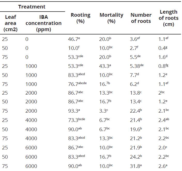 Effects of the leaf area and IBA concentration on rooting cuttings of sacha inchi in microtunnels. Instituto de Investigaciones de la Amazonia, San Mart&iacute;n, Per&uacute;.