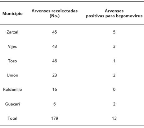 Municipios de muestreo de arvenses como posibles hospederos de begomovirus, Valle del Cauca, Colombia.