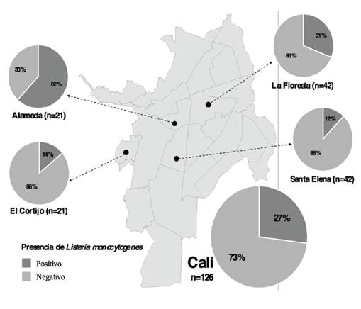 Distribución geográfica de la presencia de L. monocytogenes en las muestras de queso fresco artesanal provenientes de las cuatro plazas de mercado evaluadas en Cali, Colombia.