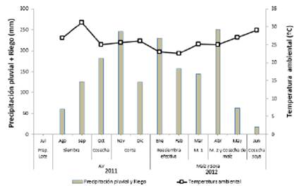 Distribuci&oacute;n mensual de la temperatura ambiental y l&aacute;mina de agua en el suelo (precipitaci&oacute;n pluvial + riego) durante el experimento.
