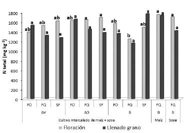 Concentraci&oacute;n de N total (mg kg-1) en el suelo en las etapas y tratamientos evaluados en el ensayo. Para cada sistema y etapa de cultivo, promedios con las mismas letras no son significativamente diferentes seg&uacute;n Duncan (P > 0.05). Los tratamientos aparecen en la Tabla 2.