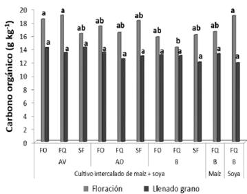 Concentraci&oacute;n de carbono org&aacute;nico (g/kg) en el suelo en cada tratamiento durante las etapas productivas de los cultivos. Para cada sistema y etapa de cultivo, promedios con las mismas letras no son significativamente diferentes seg&uacute;n la prueba de Duncan (P > 0.05).