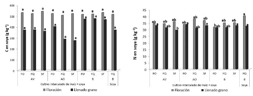 Concentraci&oacute;n de C y N (g/kg) en las hojas del cultivo de soya en las etapas y tratamientos evaluados. Para cada sistema y etapa de cultivo, promedios con las mismas letras no son significativamente diferentes seg&uacute;n la prueba de Duncan (P > 0.05).