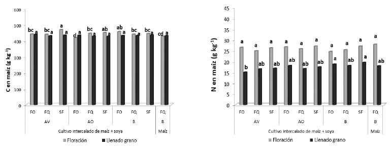 Concentraci&oacute;n de C y N (g/kg) en las hojas del cultivo de ma&iacute;z en las etapas y tratamientos evaluados. Para cada sistema y etapa de cultivo, promedios con las mismas letras no son significativamente diferentes seg&uacute;n la prueba de Duncan (P > 0.05).