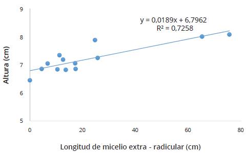 Correlaci&oacute;n lineal entre la altura de planta de caf&eacute; y la longitud de micelio extra-radicular (LMER). Amazonas, Per&uacute;.