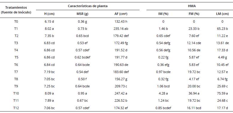 Efecto de los HMA nativos en el porcentaje de inoculaci&oacute;n y caracter&iacute;sticas de plantas de caf&eacute; (Coffea arabica). Amazonas, Per&uacute;.