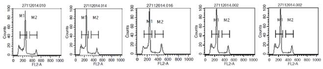 Representative histograms of fluorescence intensities, markers properties and events associated with nuclei isolated from leaves of peal millet and Napier grass genotypes by Flow Cytometry technique
