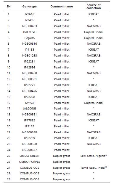 Name and source of genotypes of pearl millet and Napier grass used for genomic size and ploidy analysis.