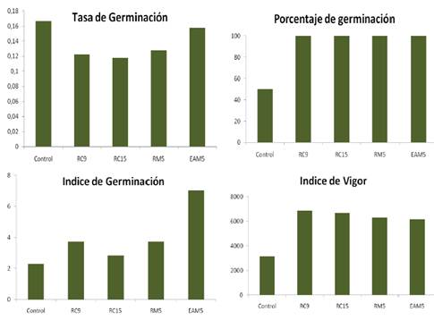 Efecto de las cepas de Bacillus sobre la germinación de maíz (Zea mays L.) cultivar Francisco Mejorado en suelo Ferralítico rojo Lixiviado Compactado, Gléyico y Nodular Ferruginoso en condiciones de invernadero.