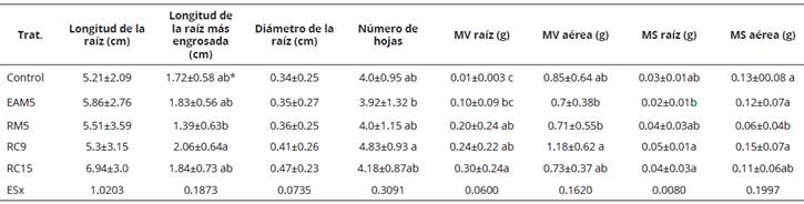 Influencia de las cepas de Bacillus en plantas de zanahoria (Daucus carota subsp. sativum) 90 días postinoculación cultivada en suelo Ferralítico Rojo Lixiviado Compactado, Gléyico y Nodular Ferruginoso en invernadero.