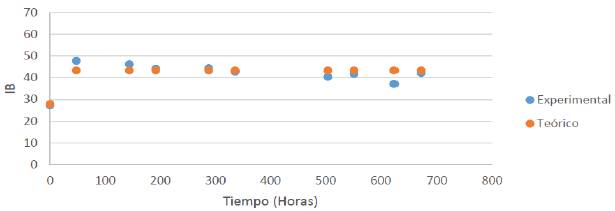 Cinética de eflorescencia grasa (expresado como Índice de Blancura, IB) experimental y teórica del tratamiento M3B por RMSE.