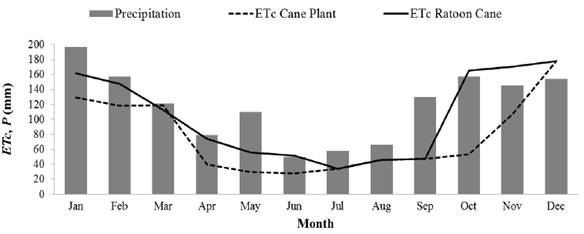 Monthly average values of sugarcane evapotranspiration (ETc) and precipitation (P), for Paranavaí, in the period 1997-2009.
