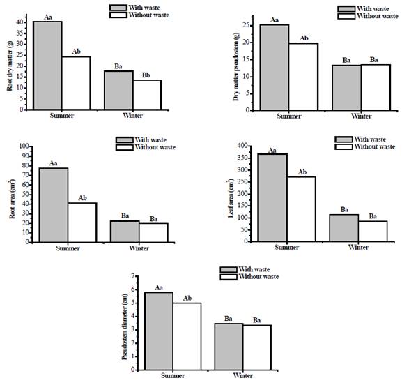 Pseudostem and root dry matter, leaf area, root area and pseudostem diameter of banana seedlings cv. Nanica at 60 DAT. Means followed by different capital letters for seasons and small letters for treatments differ by the Tukey test (P < 0.05).