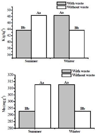 K and Mn contents in leaf tissue of banana seedlings cv. Nanica. Means followed by different capital letters for seasons and small letters for treatments differ by the Tukey test (p<0.05).