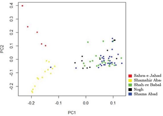 The individuáis clustering base on principal components analysis. The proportion of total variation explained by first and second principal components, were 61.38 and 21.9 %, respectively.