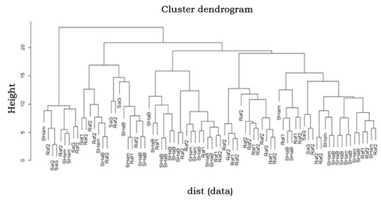 Clustering base on Pairwise Euclidean Distance. SHam (Shamshir Abad), SaG (Sahrae Jahad), SHaB (Shah-re Babak), Raf1(Nogh), Raf2(Shams Abad).
