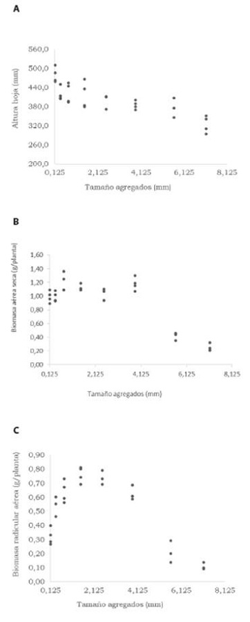 Altura (A) y biomasa seca a&eacute;rea (B) y radical seca (C) de pasto guinea (Megathyrsus maximus cv. Mombasa) en funci&oacute;n del tama&ntilde;o medio de agregados de un Inceptisol de bosque seco tropical de Colombia.