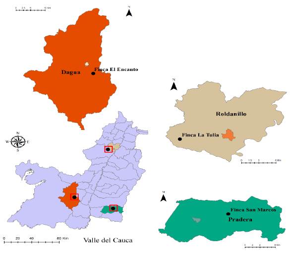 Ubicación espacial de las parcelas de estudio en los municipios de Roldanillo, Dagua y Pradera en el Valle del Cauca.