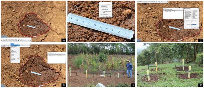 A. Fotografía del Am resultante de la aplicación de agua por medio del gotero Mariotte en el software ImageJ. B. Configuración de la escala en ImageJ a partir de una reglilla de 10 cm. C. Ajuste de los parámetros de medida de área y perímetro previo a la delimitación del Am de la imagen. D. Calculo del Am y P desde la opción Analyze en ImageJ. E y F. Distribución de goteros Mariotte en campo.