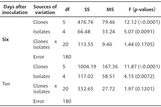 Analysis of variance of severity levels in six cocoa clones (CCN 51, ICS 95, EET 8, TSH 565, IMC 67 and PA 46), six and ten days after inoculation (DAI) with five isolates (ANYA 228, SARIO 189, ARAR 153, TOVR 01 and HURV 19) of Phytophthora palmivora.
