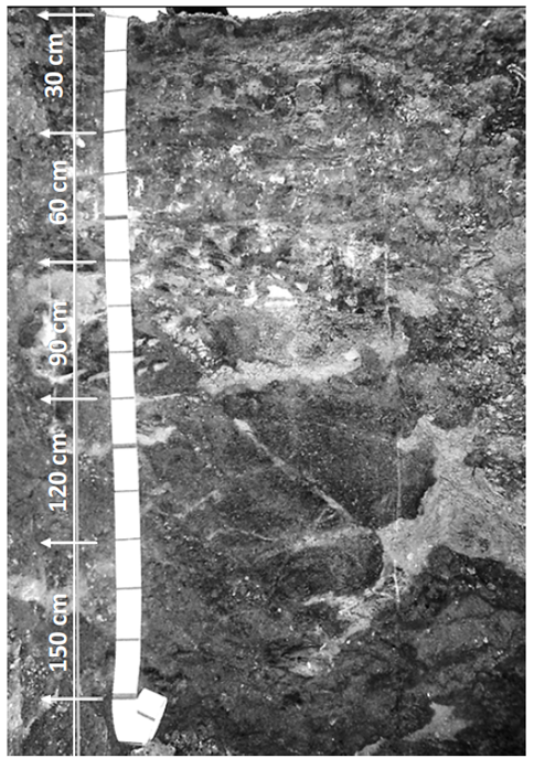 Ouro Verde soil profile (Author, 2015).