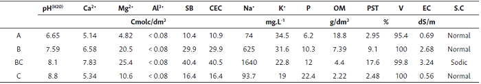Chemical characterization of the soil profile in Ouro Verde