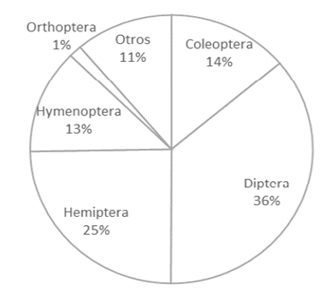 Distribución de la población de artrópodos (bajo el nivel taxonómico orden), encontrados en las parcelas experimentales.